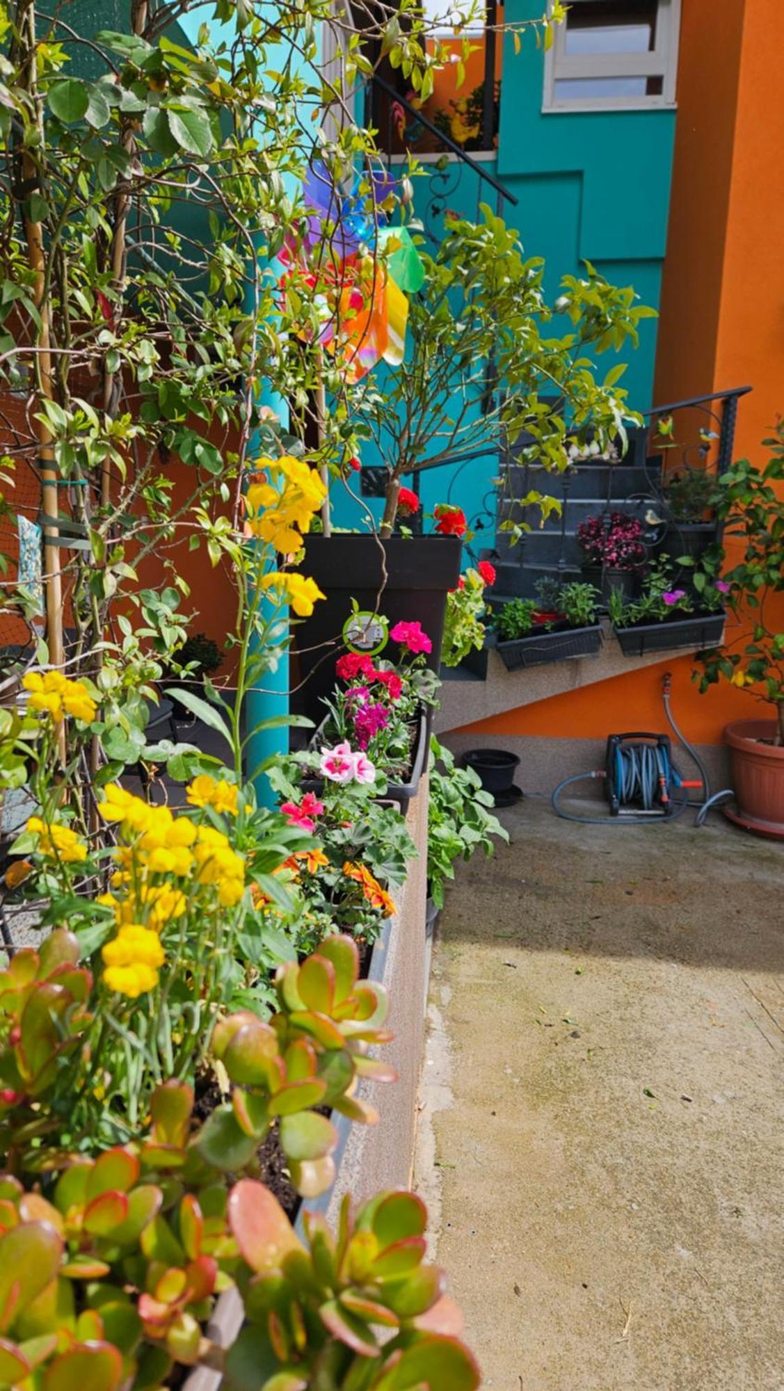 Mexicana Apartment Yellow Zadar Exterior foto